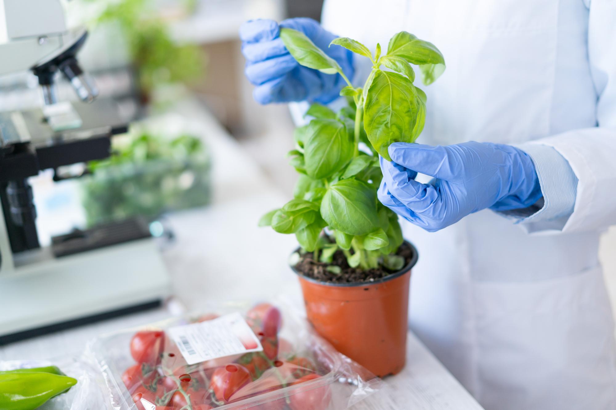 What You Should Know About The New US GMO Labeling Law