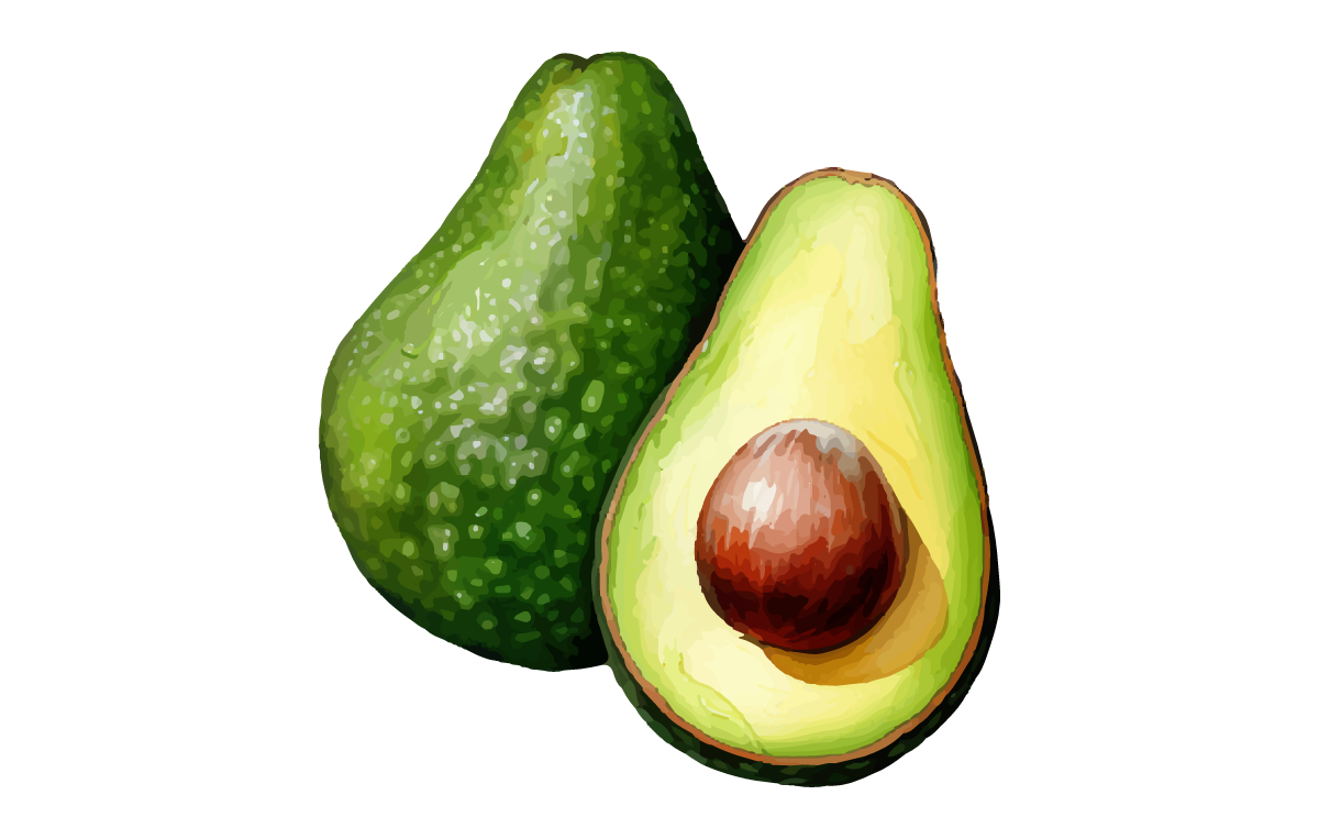 Avocado