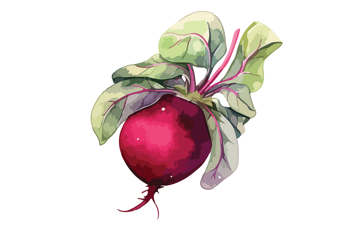 Beet