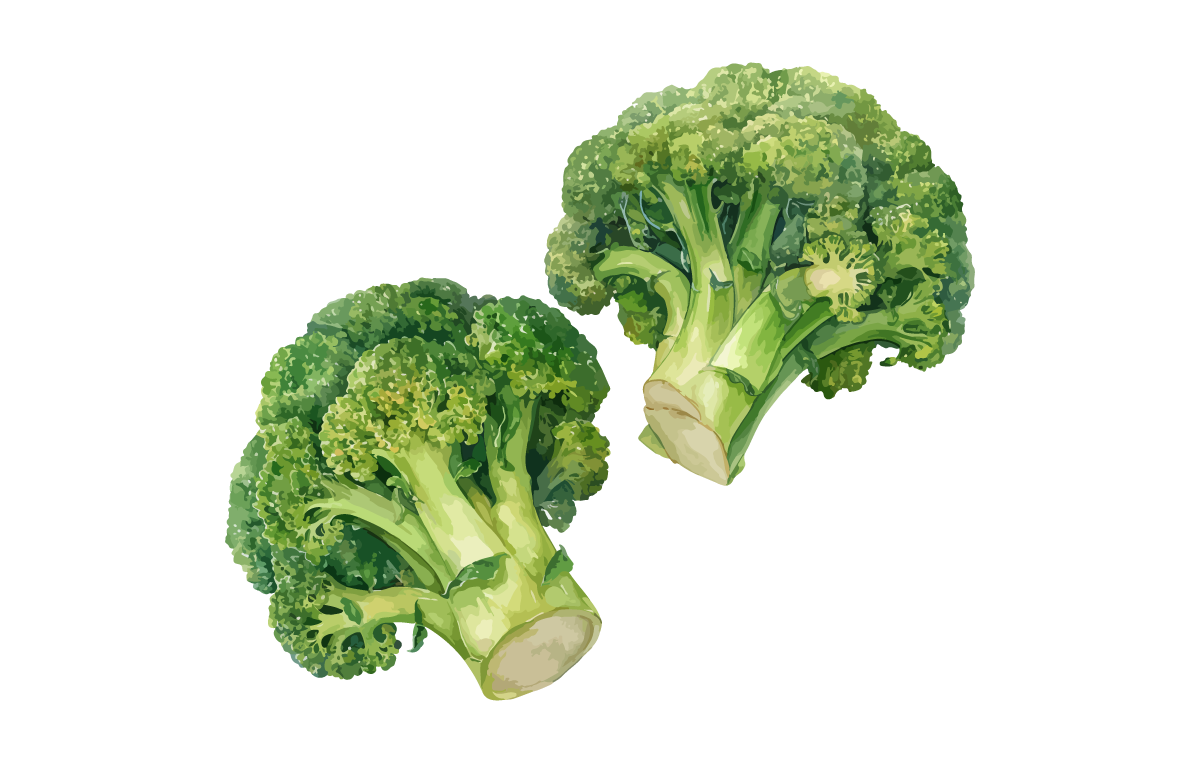 Broccoli