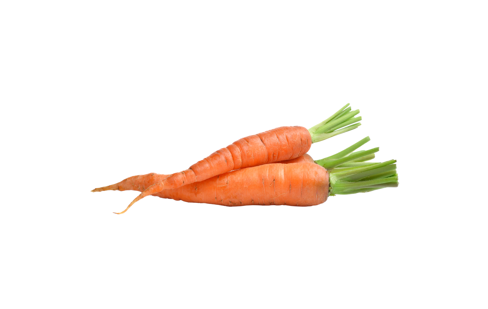 Carrot