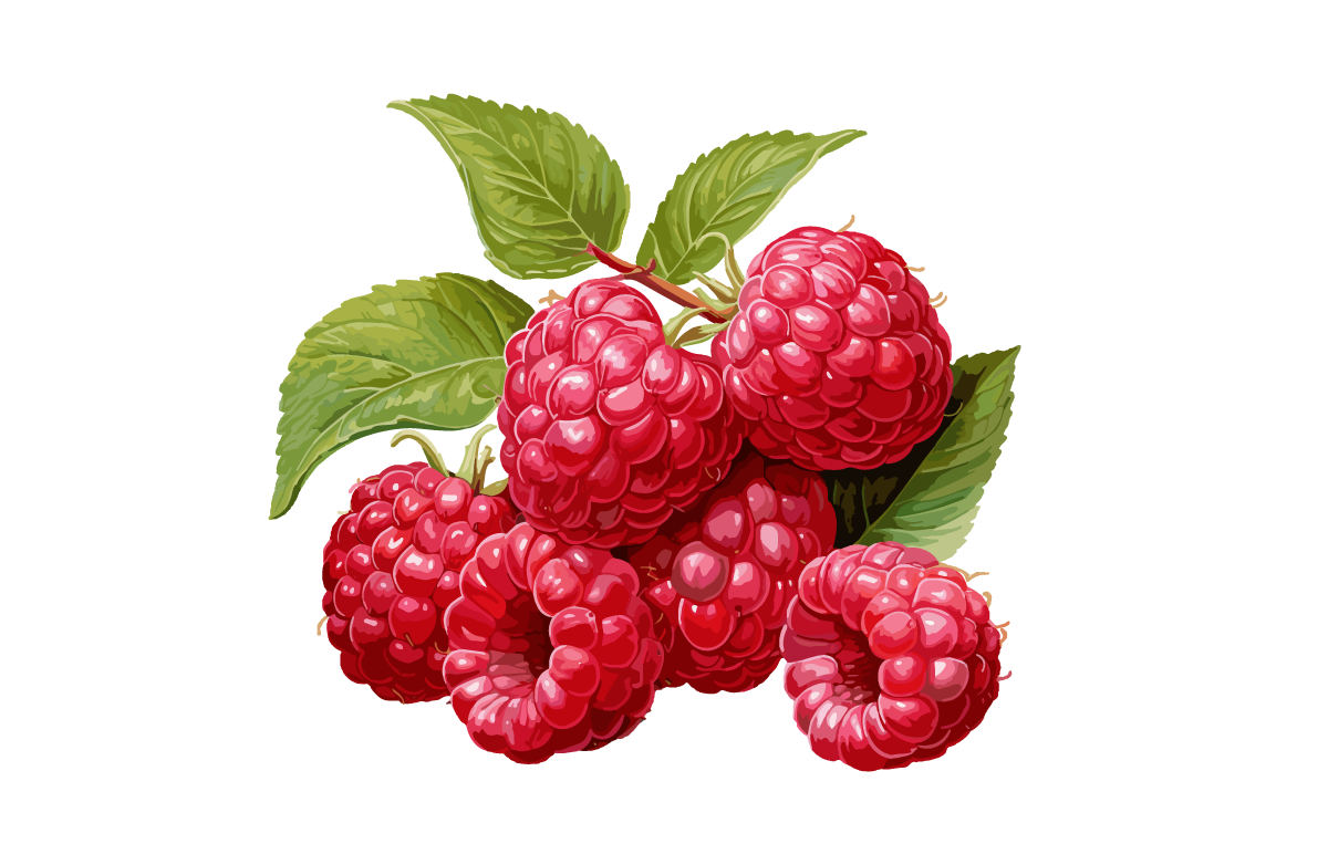 Raspberry