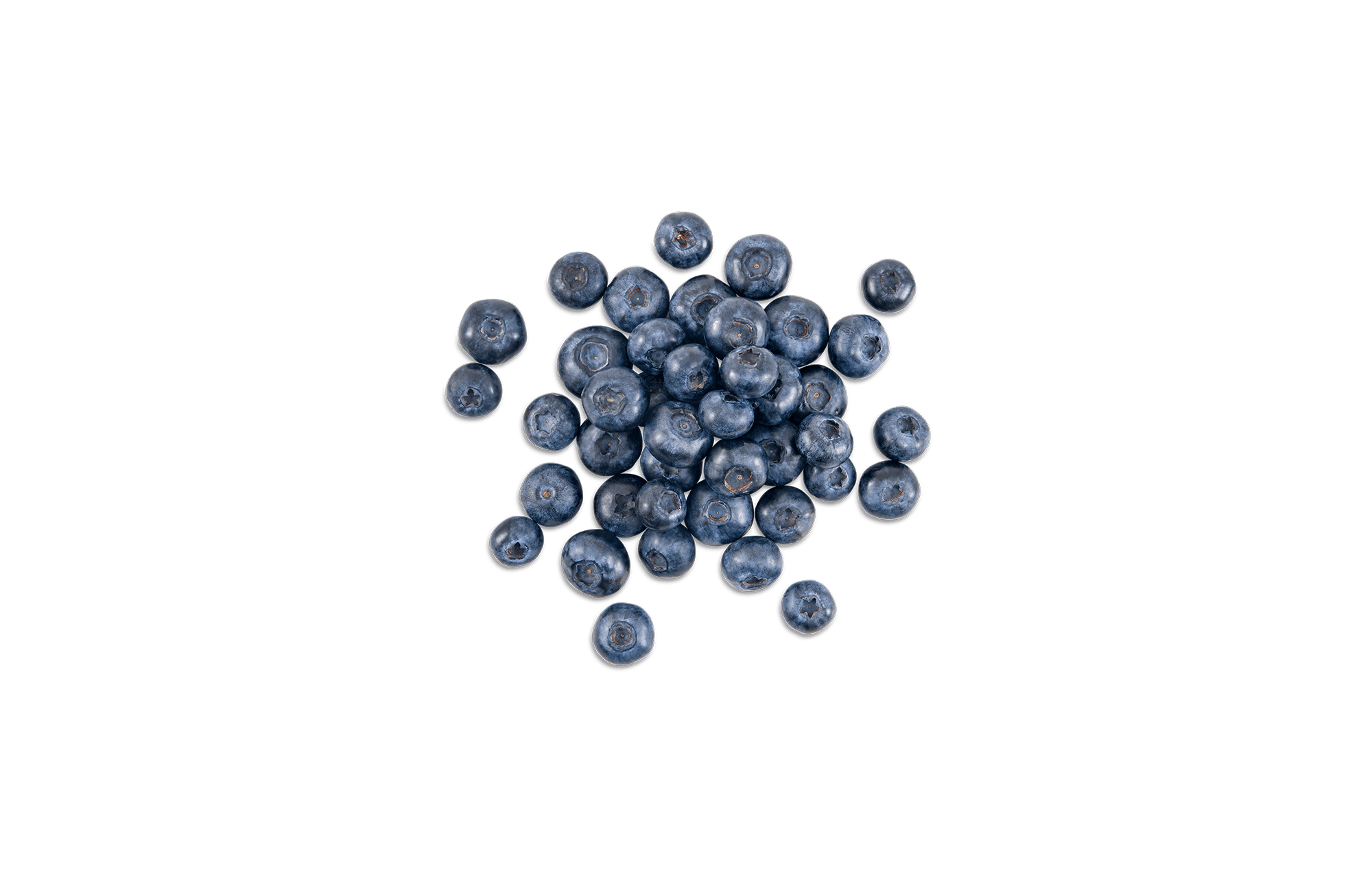 Blueberry