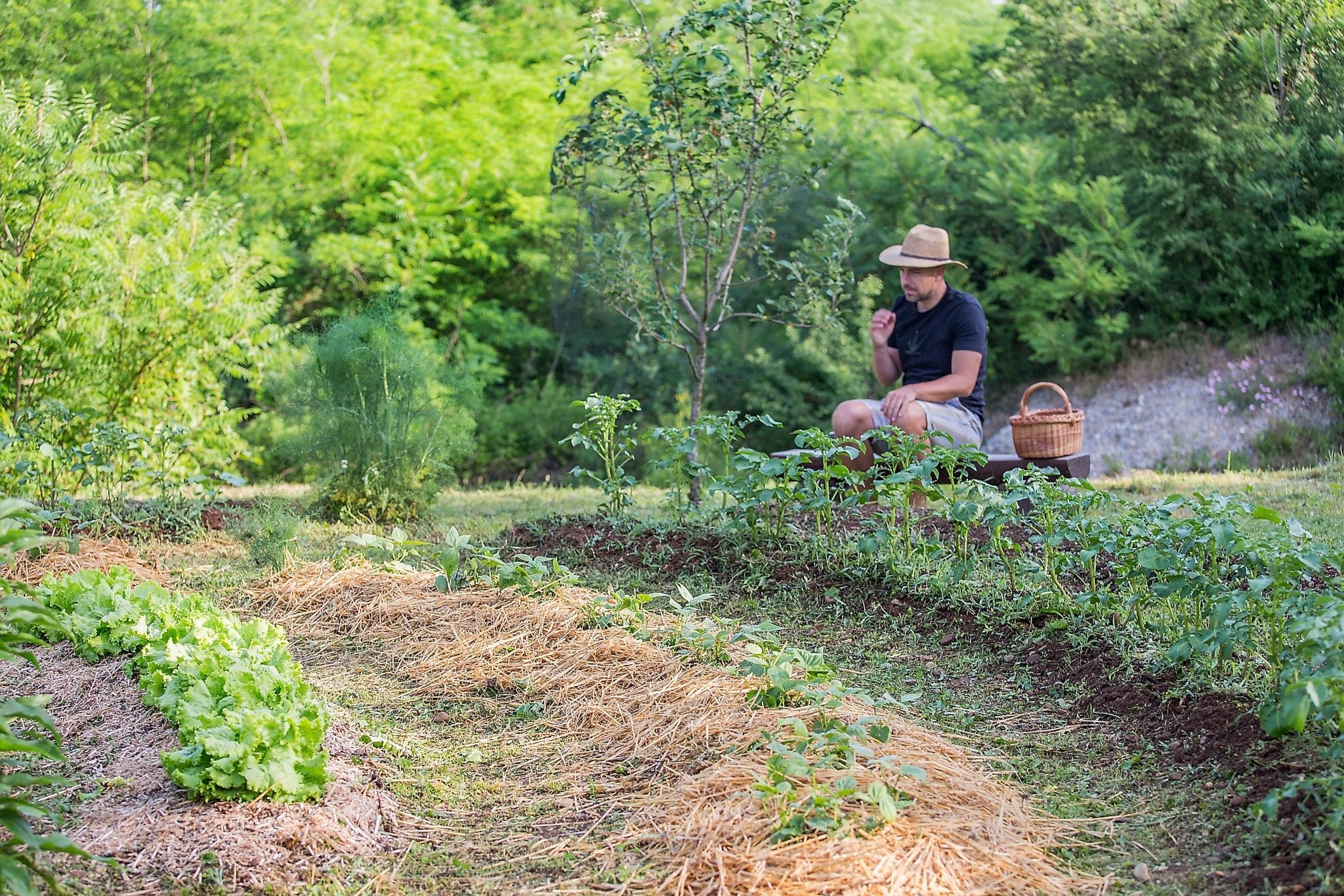 Adjusting to Climate Change in the Garden