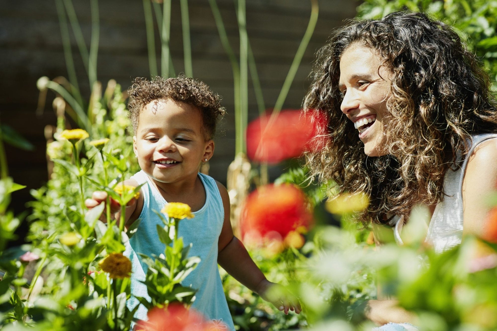 HOW THE FOODS WE EAT CAN HELP FIGHT CLIMATE CHANGE