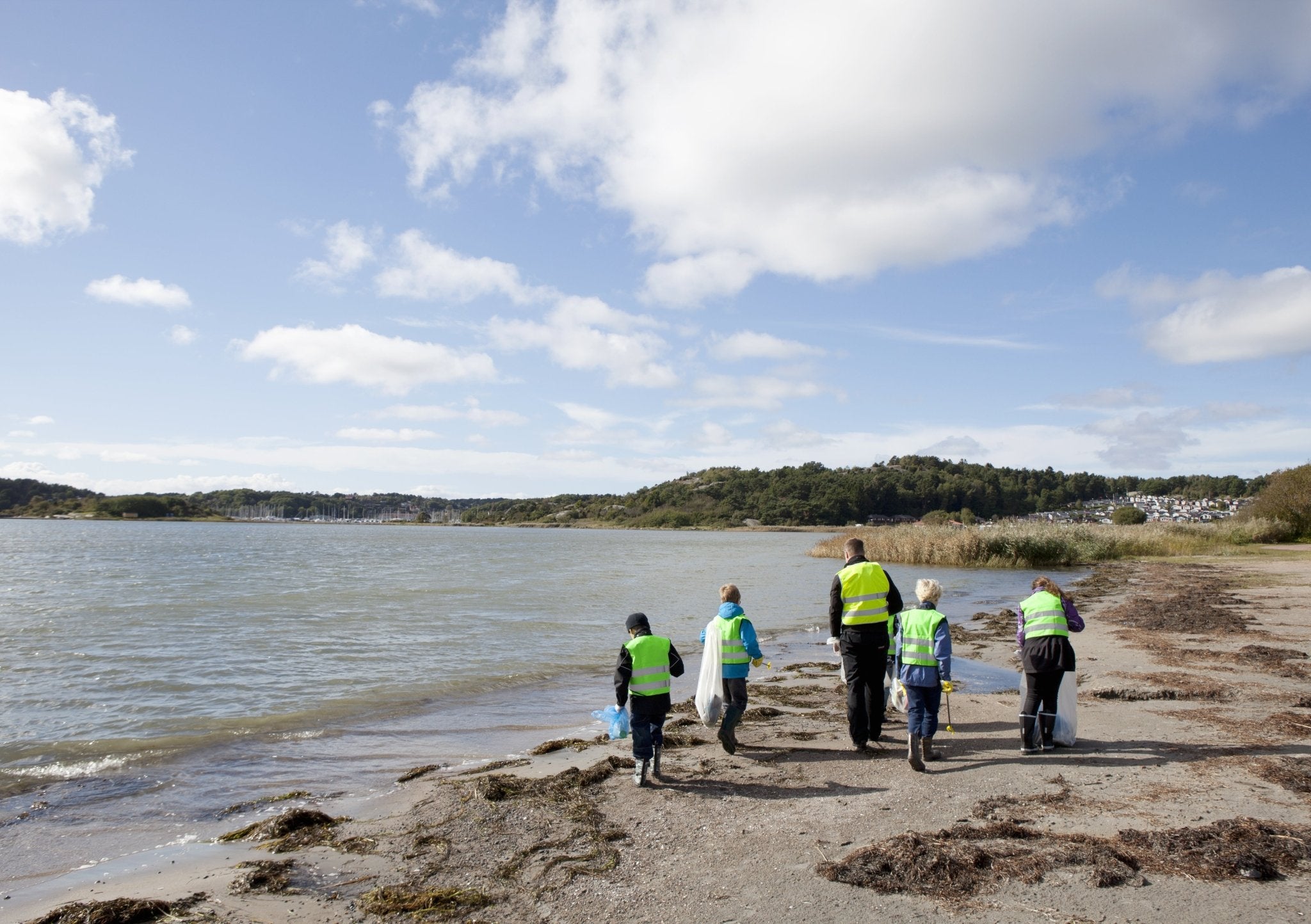 How to Organize a Beach Cleanup