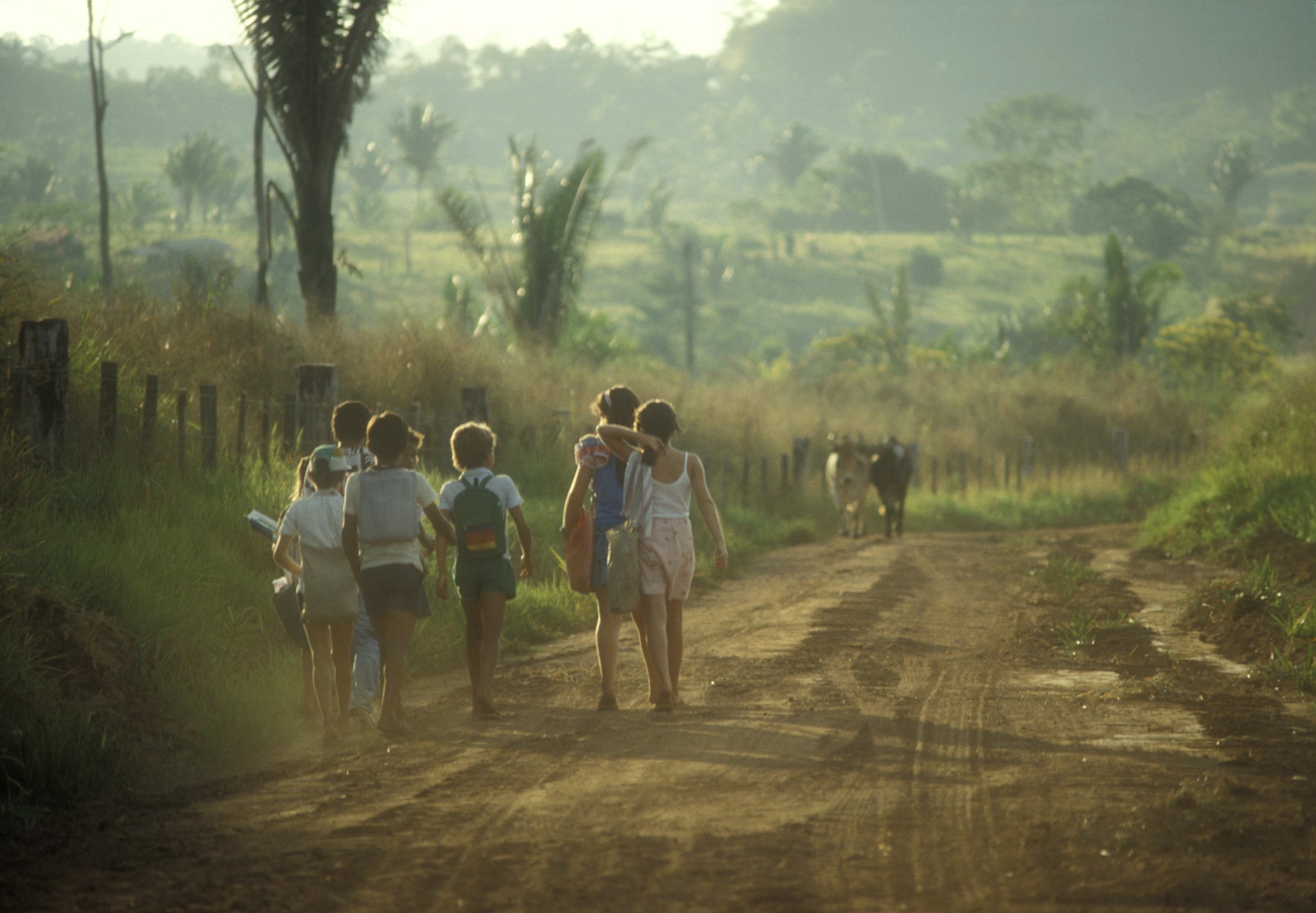 Green Schools Around the World