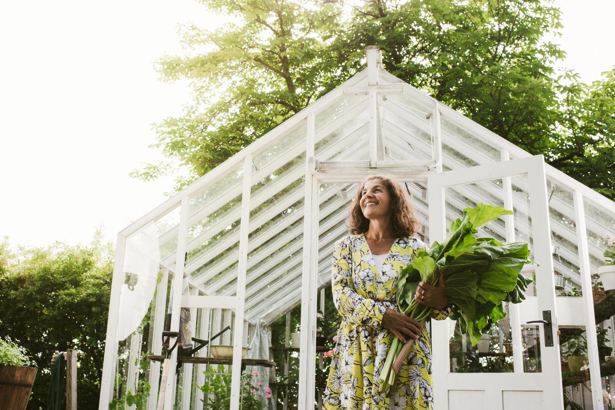 Buying and Using a Hobby Greenhouse