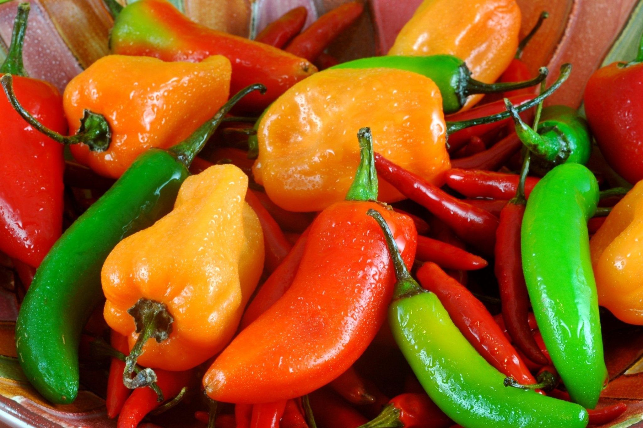 How to Cook with Fresh Chiles