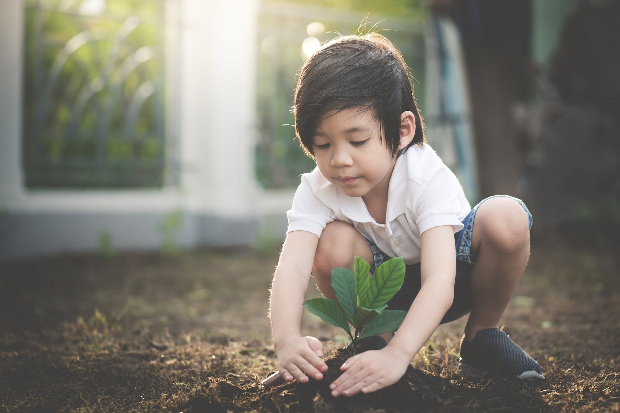 20 Activities for Kids to Do During Earth Month