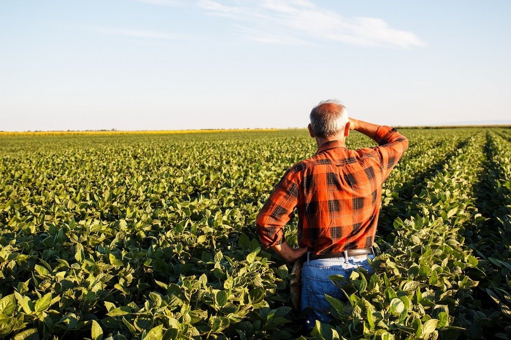 The History of How Organic Farming was Lost