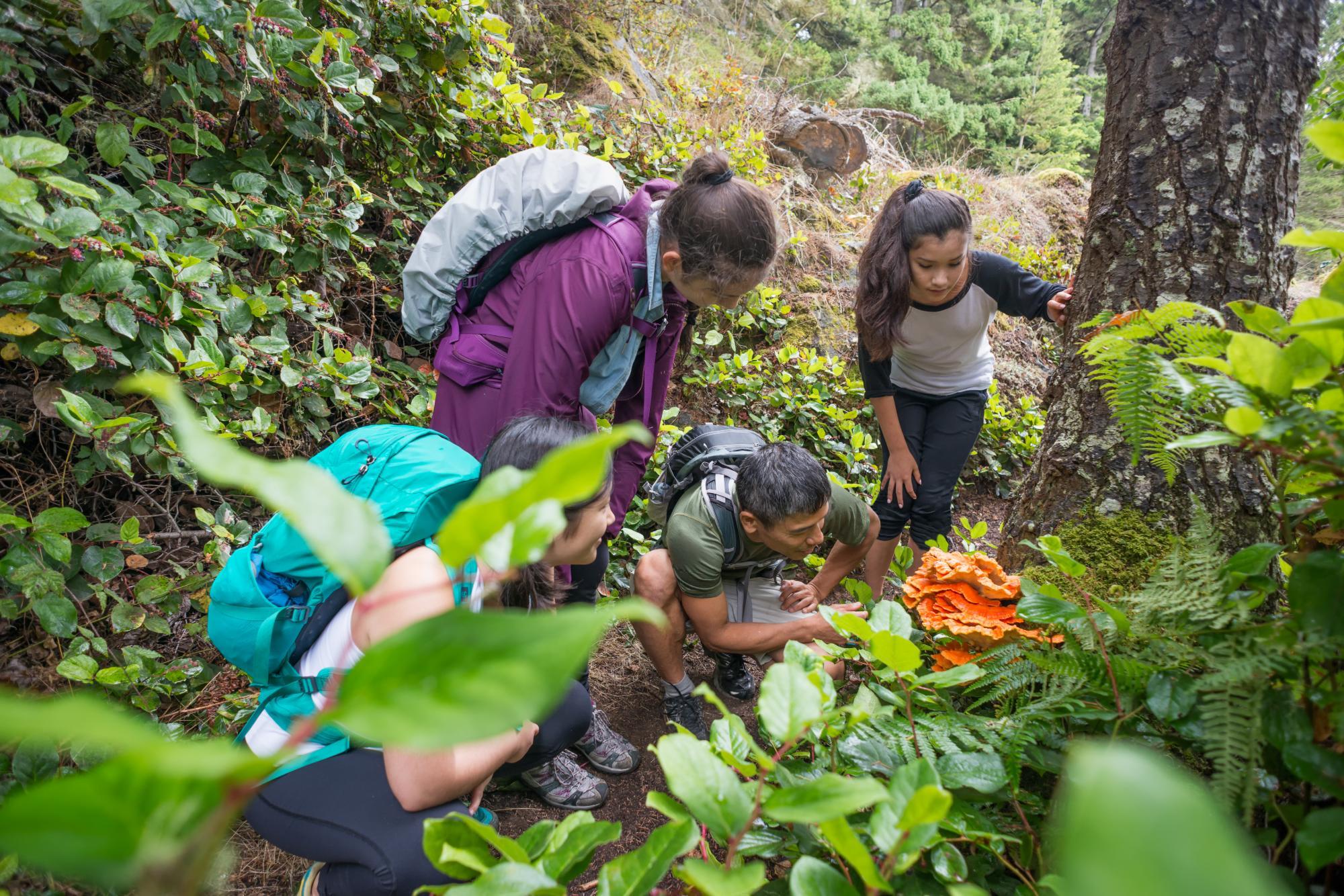 What are Forest Schools?