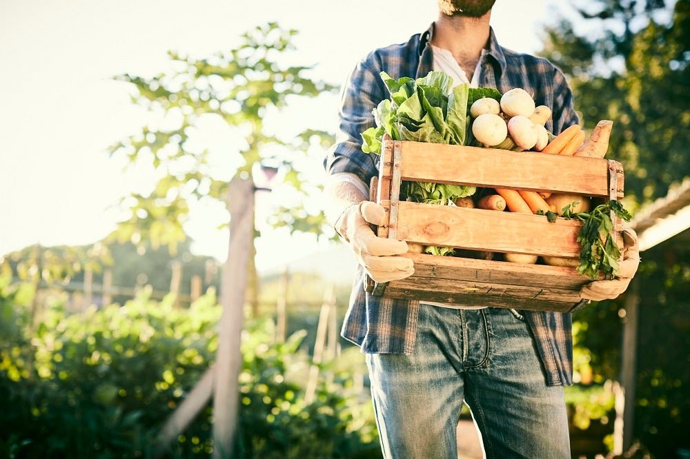 The Relationship Between Organic Food, Pesticides and Health