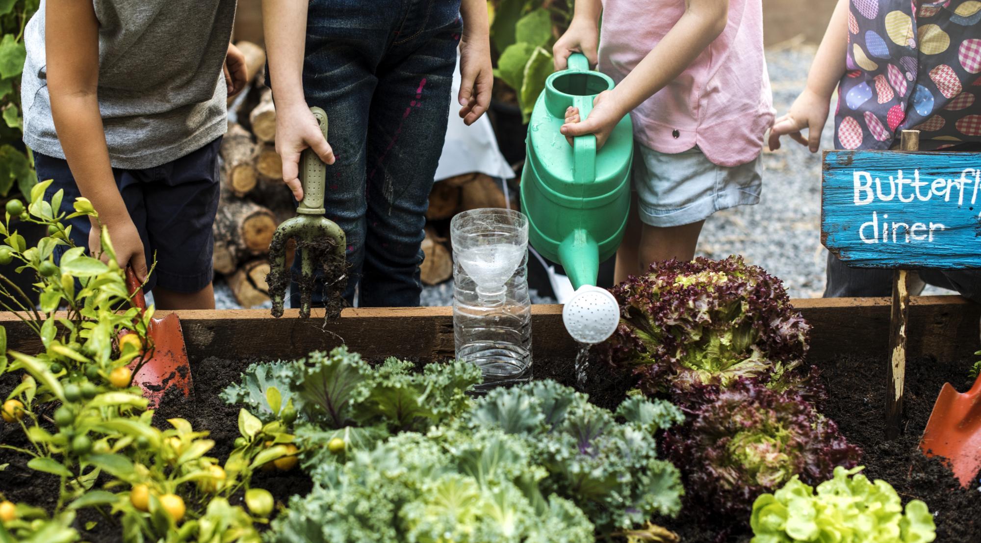 5 Schools Aiming for Zero Waste