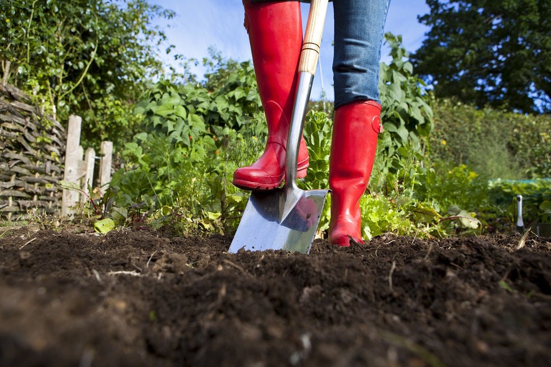 Hügelkultur for a Robust Organic Garden