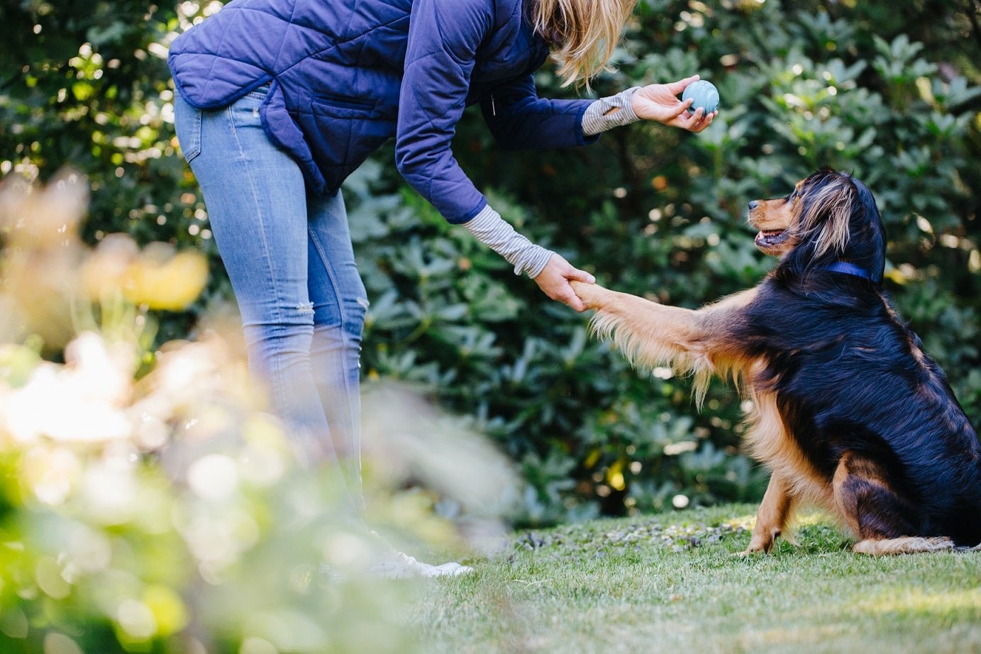 4 Ways Dogs Can Improve Your Health