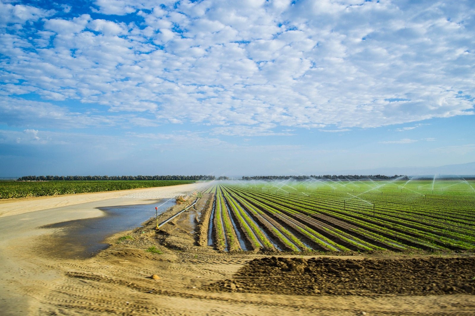 Climate Change is Here, And It's Becoming Harder to Farm Successfully