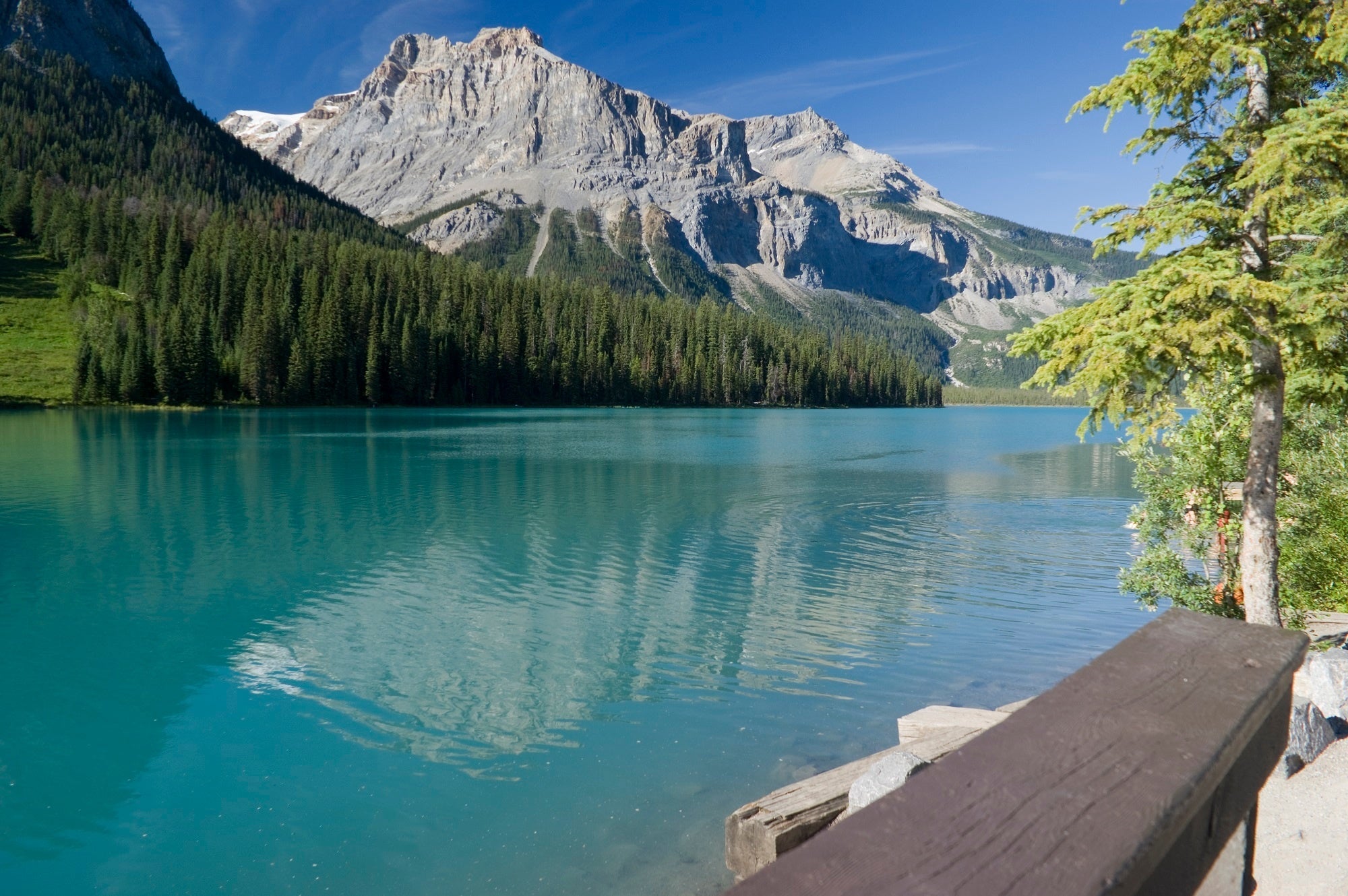 Top 5 Easiest Canadian Parks to Visit