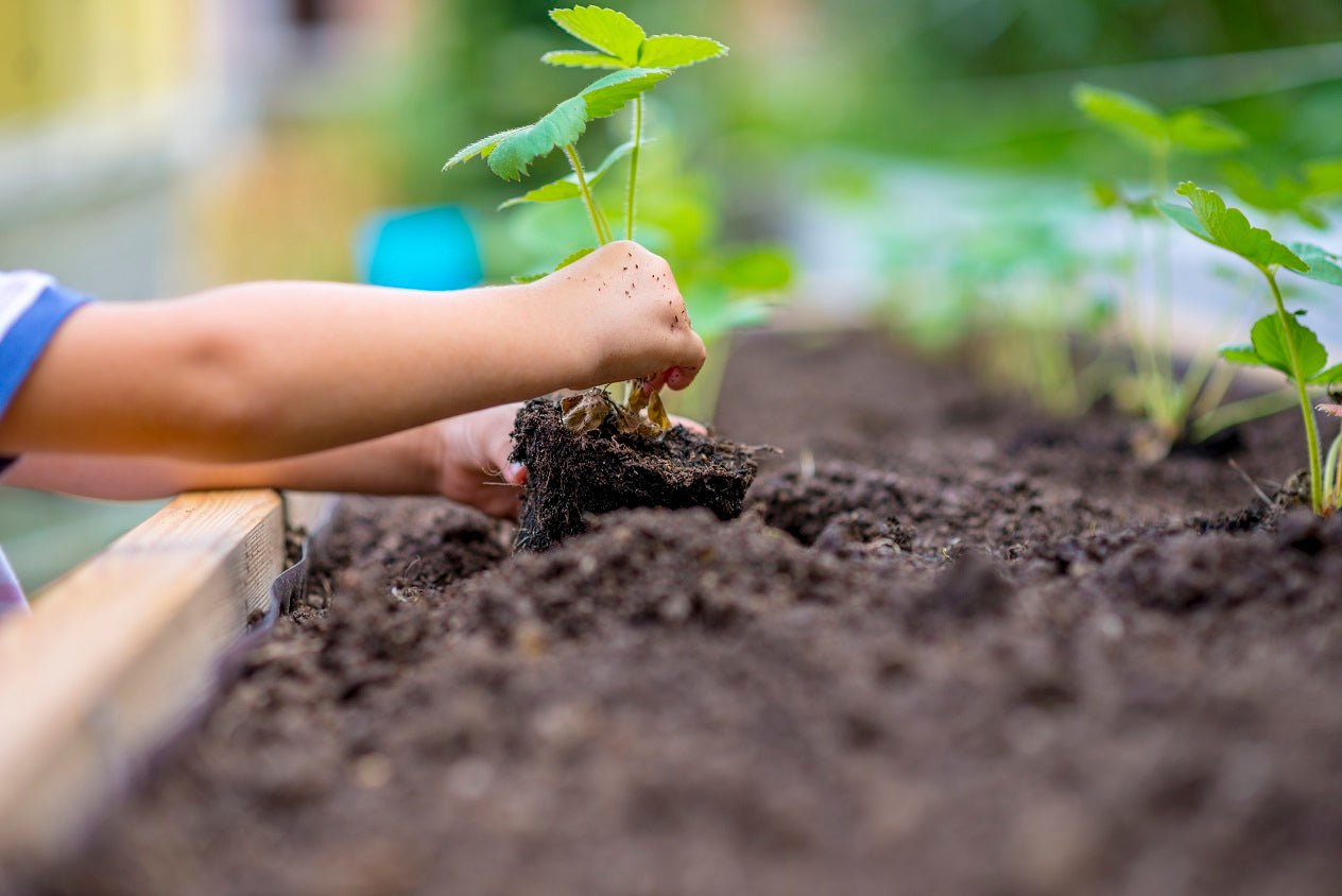 How to Garden with Kids