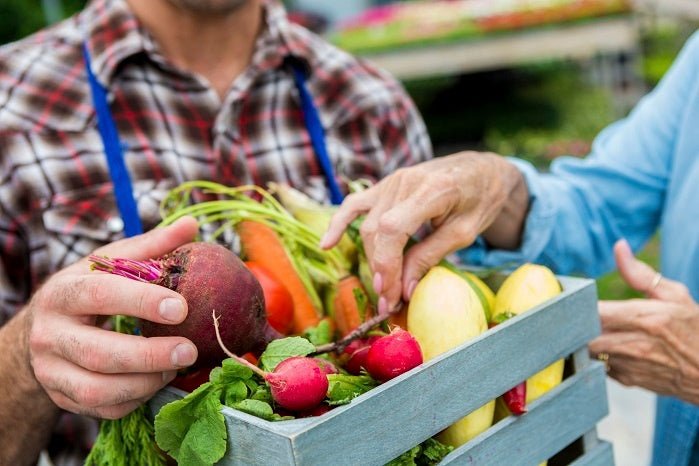 10 Organic Gardening Tips for September