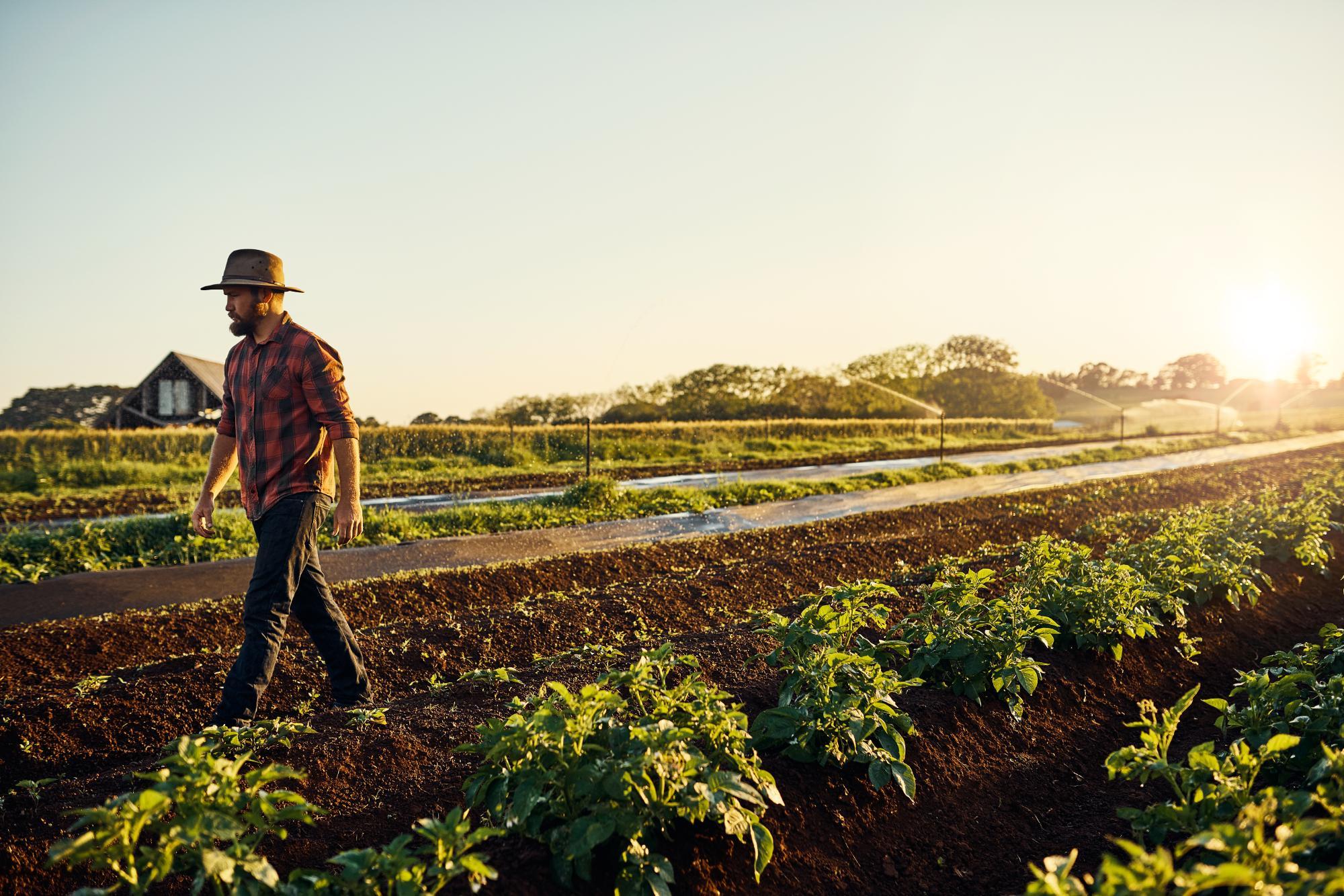 Certified Organic Foods Protect Biodiversity