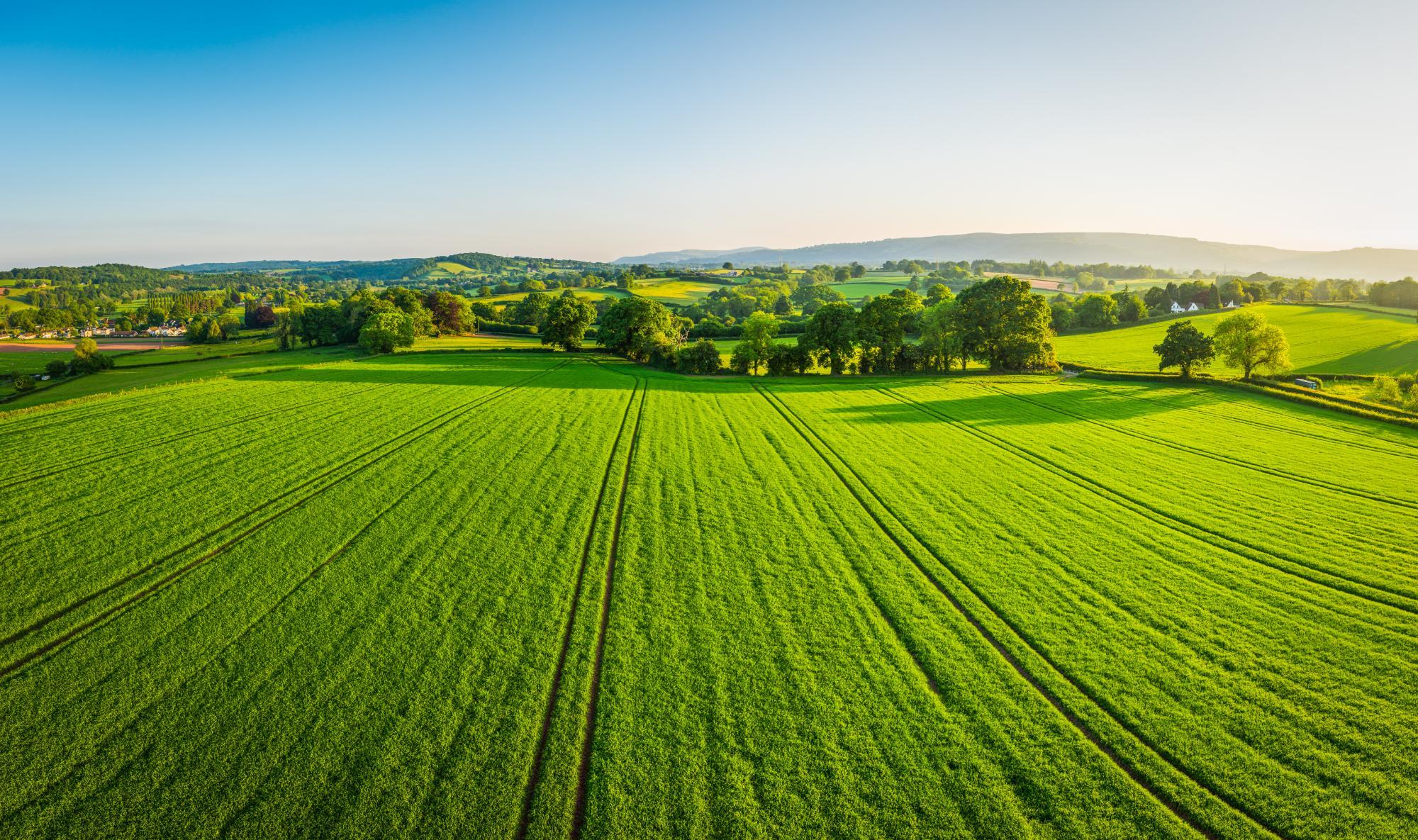 How Organic Farming Can Help Us Redefine Success