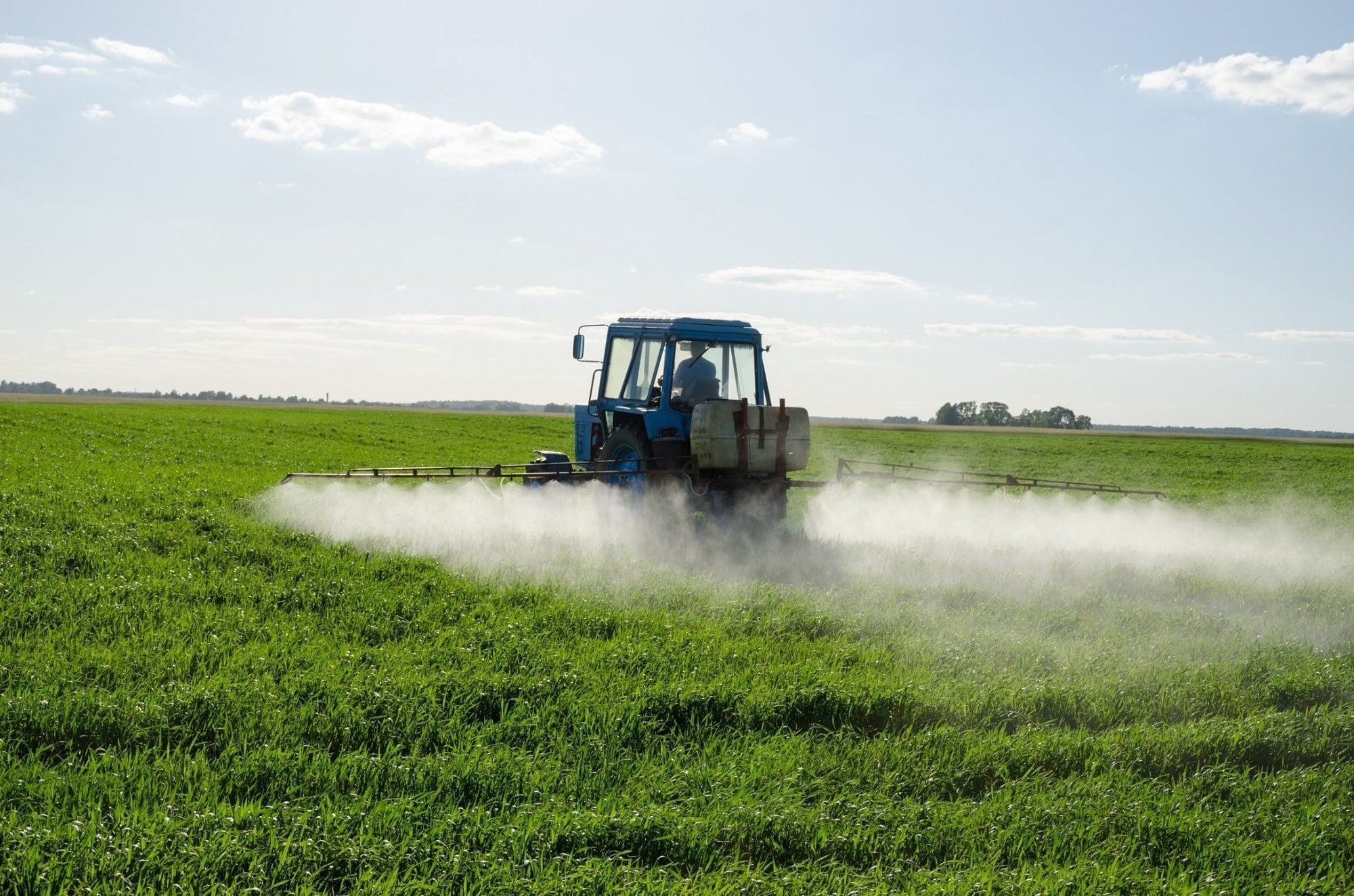 Are You Eating Glyphosate? How Organic Farming Can Help