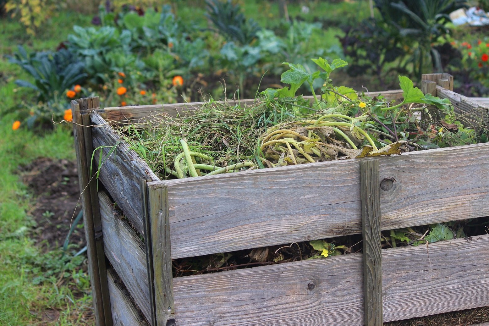 A Complete Guide To Composting