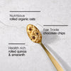 Chocolate Chip Oatmeal