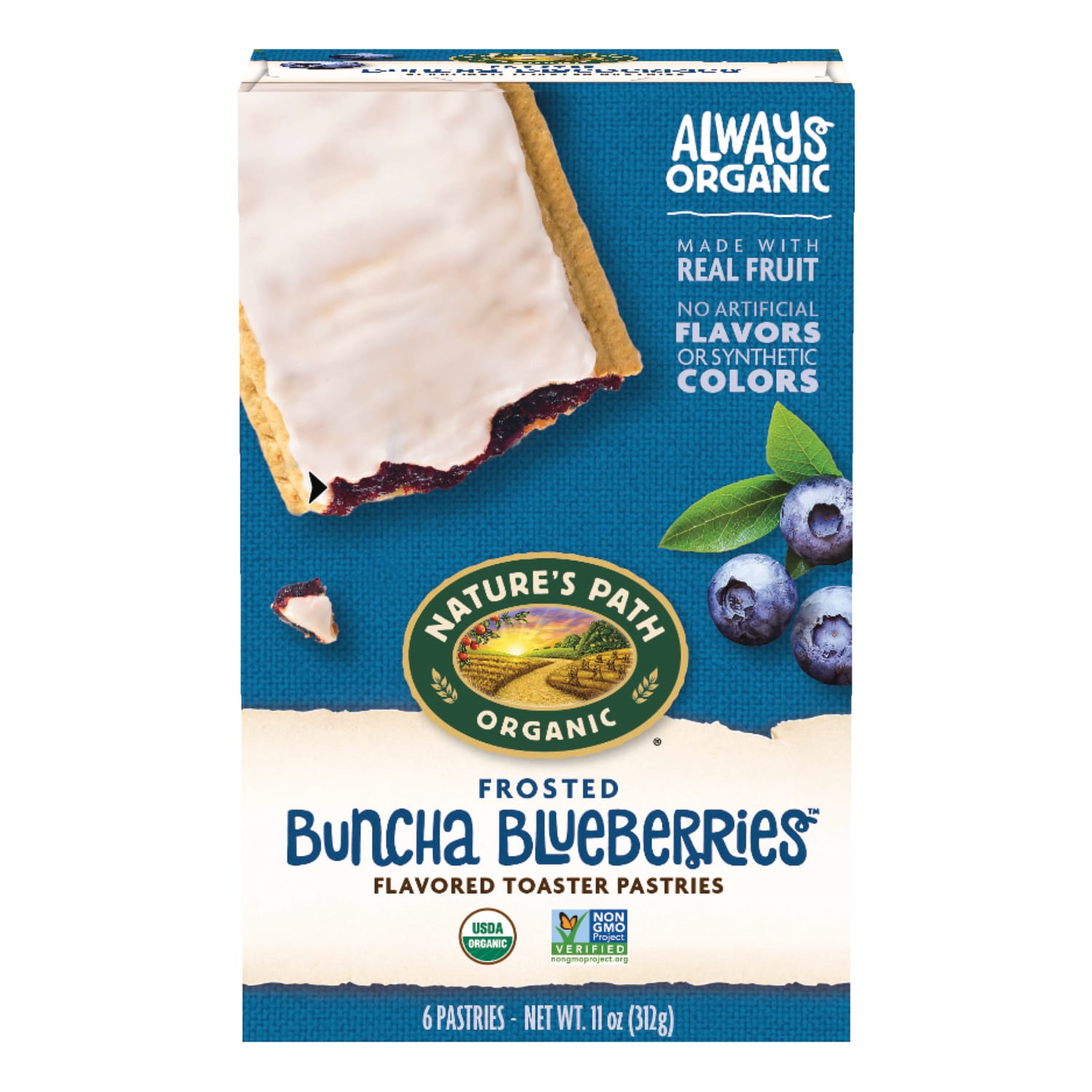 Nature's Path Organic Blueberry Frosted Toaster Pastries 11oz Box