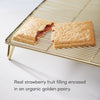 Unfrosted Berry Strawberry Toaster Pastries