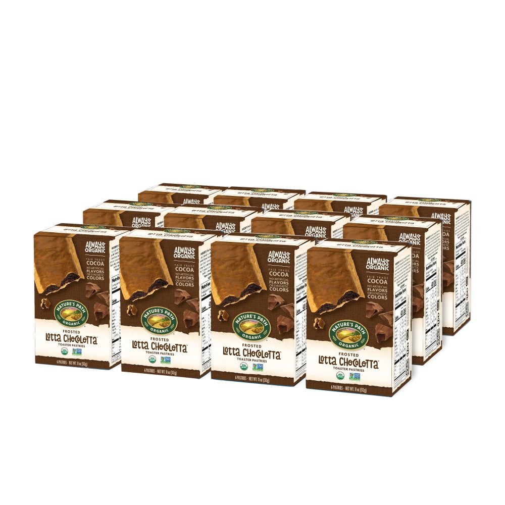 Pack of 12, Nature's Path Organic Chocolate Frosted Toaster Pastries 11oz Box