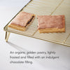 Frosted Lotta Chocolotta Toaster Pastries