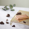 Frosted Lotta Chocolotta Toaster Pastries