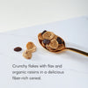 Flax Plus Raisin Bran Cereal