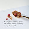 Flax Plus Red Berry Crunch Cereal