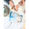 Sea Friends Chocolate Chip Cookies