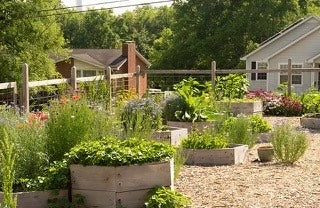 Brooklyn Heights Community Garden