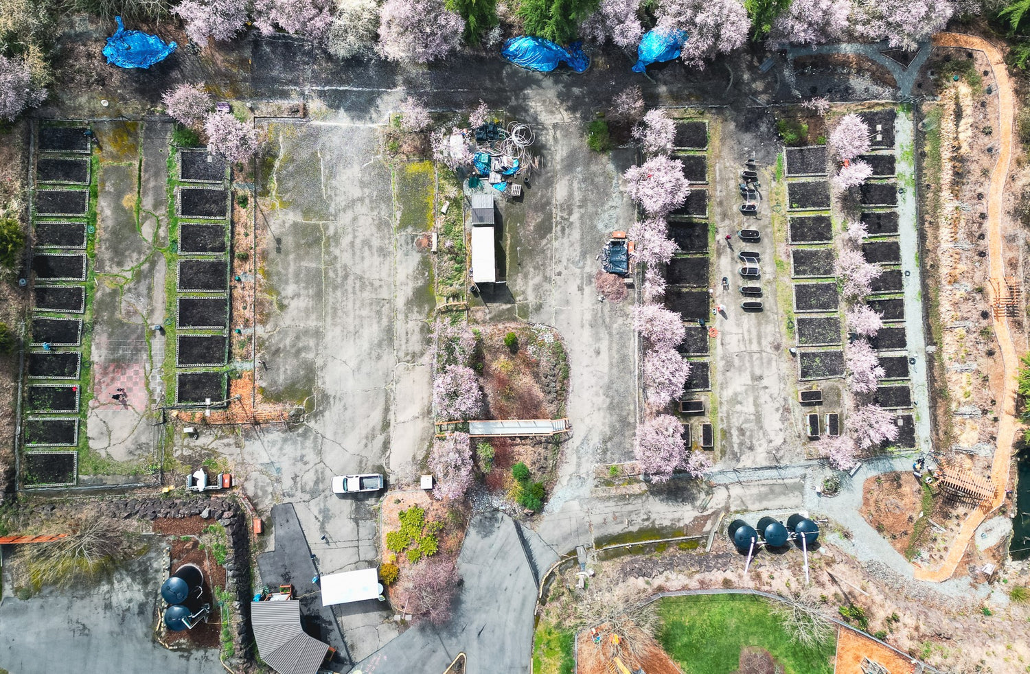 Paradise Parking Lots Community Garden