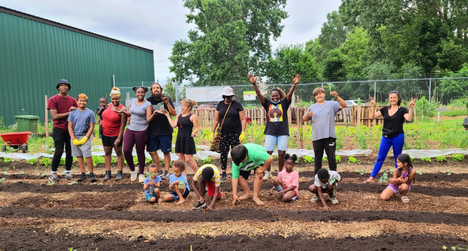 Harvest Haven Garden