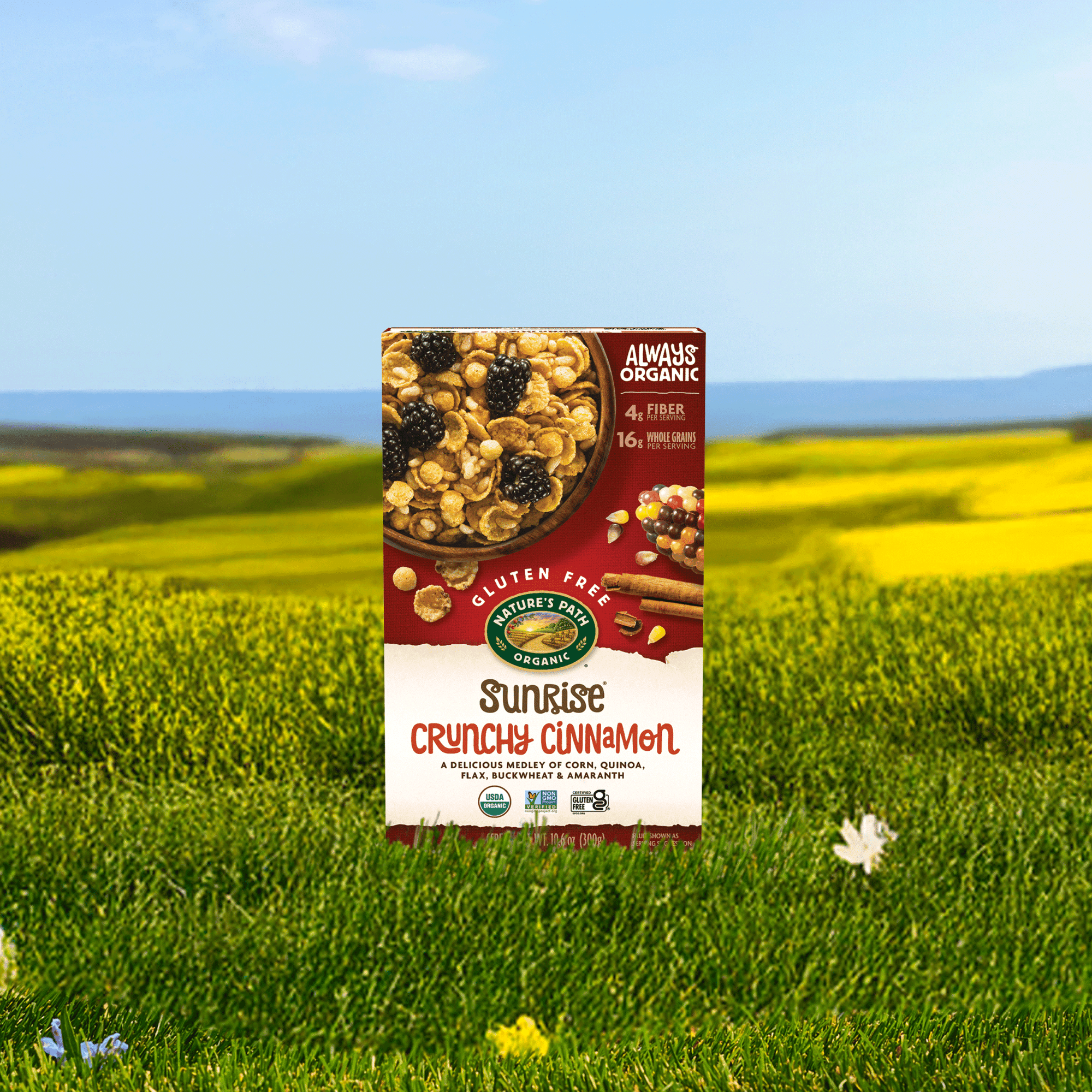 Sunrise Crunchy Cinnamon Cereal