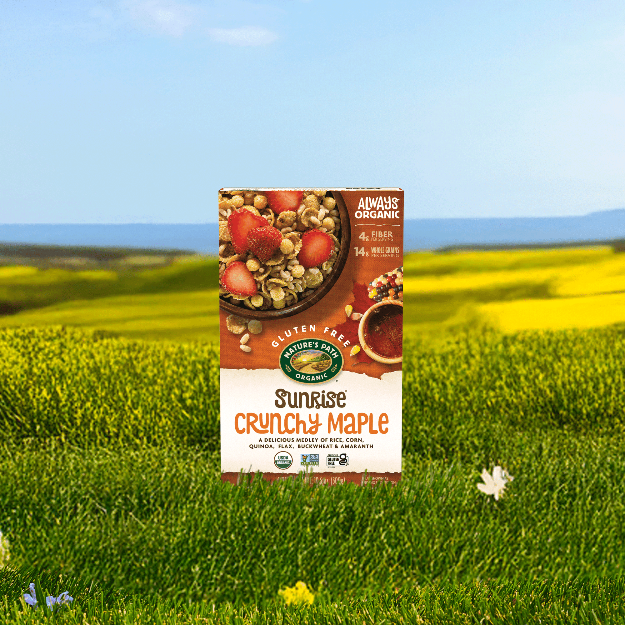 Sunrise Crunchy Maple Cereal
