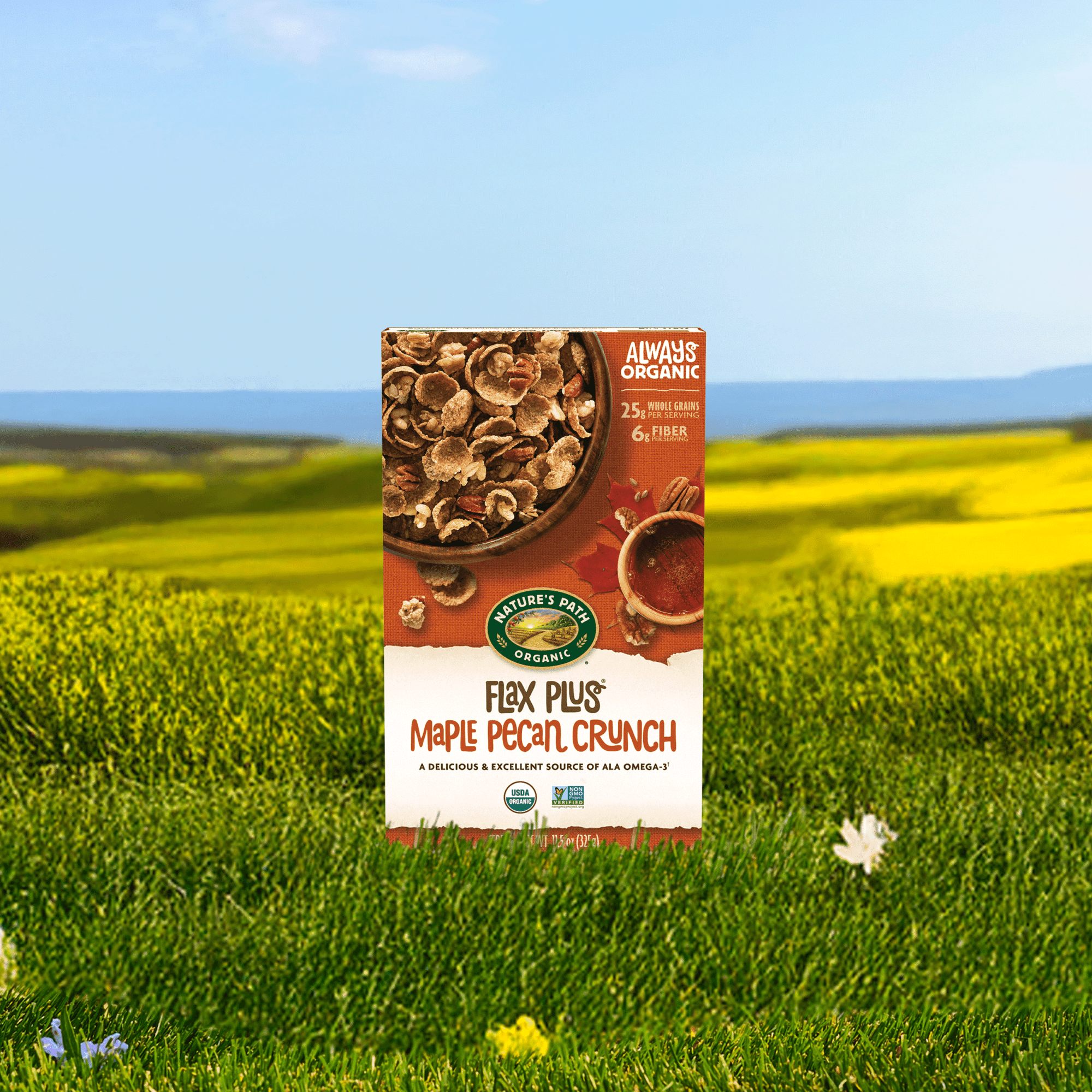Flax Plus Maple Pecan Crunch Cereal