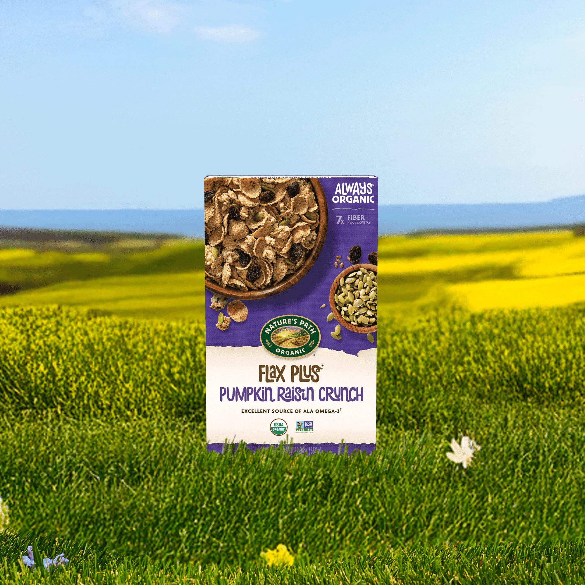 Flax Plus Pumpkin Raisin Crunch Cereal
