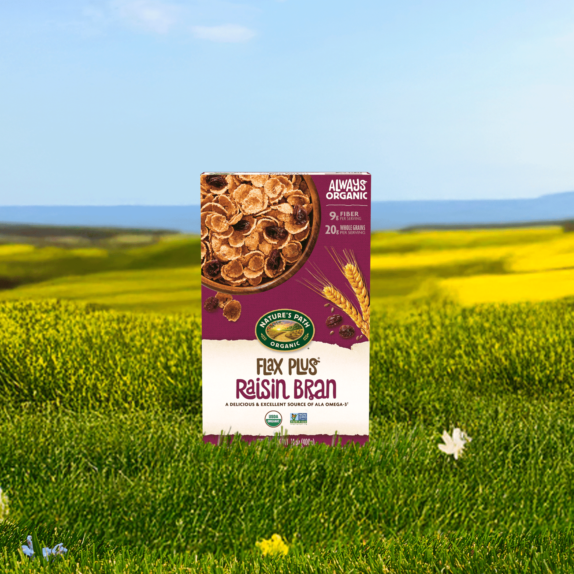 Flax Plus Raisin Bran Cereal