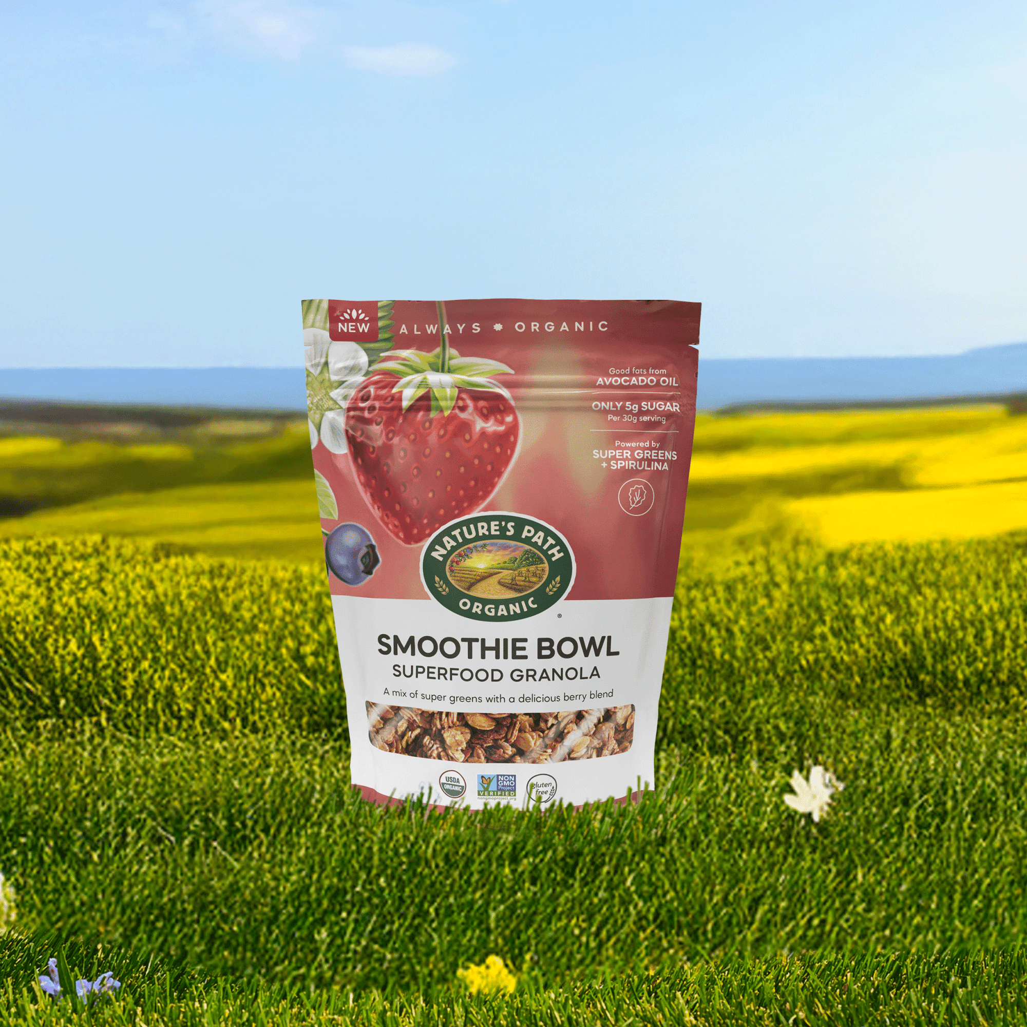 Granola de superalimento de Smoothie Bowl