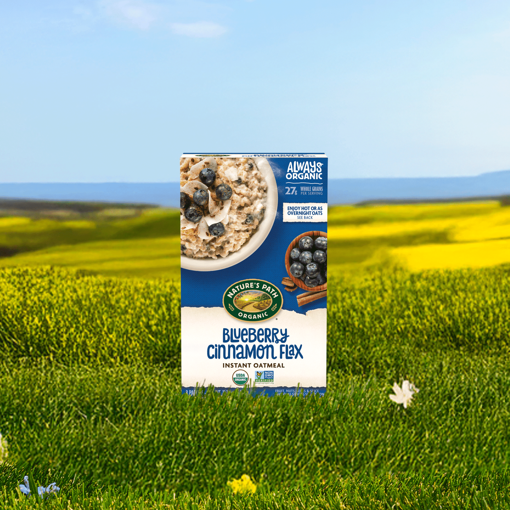 Blueberry Cinnamon Flax Instant Oatmeal
