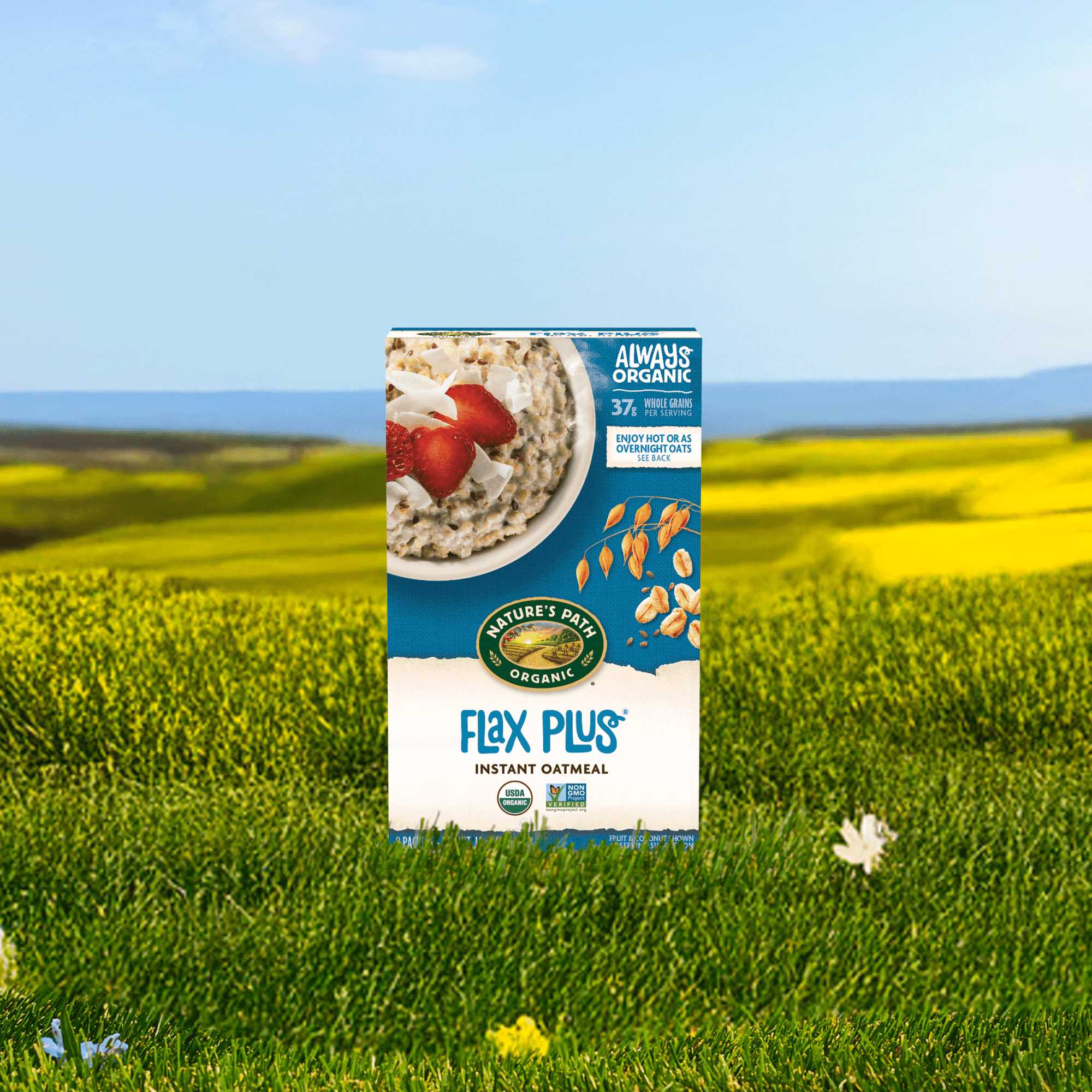 Flax Plus Oatmeal