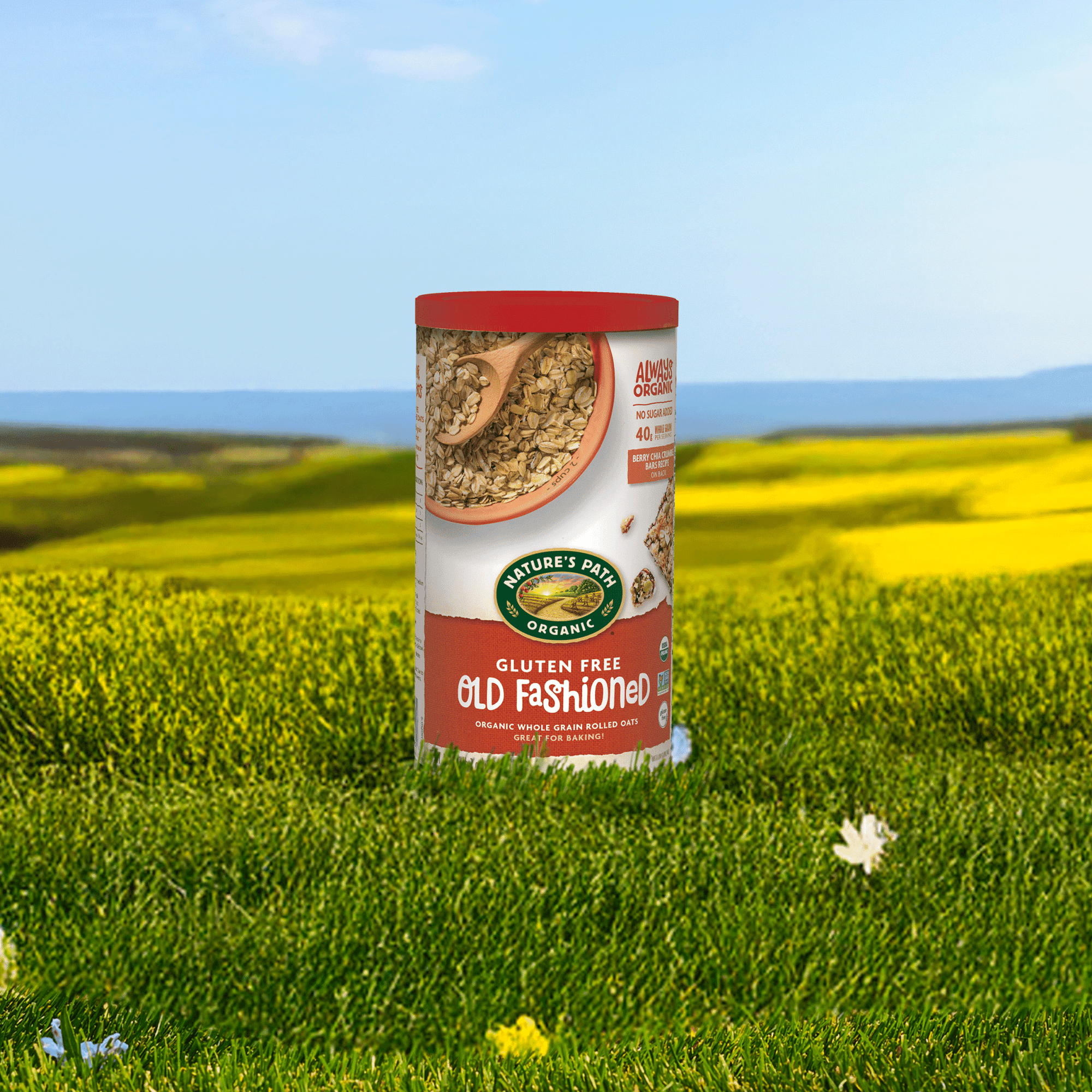 Old Fashioned Oats Gluten Free Oatmeal