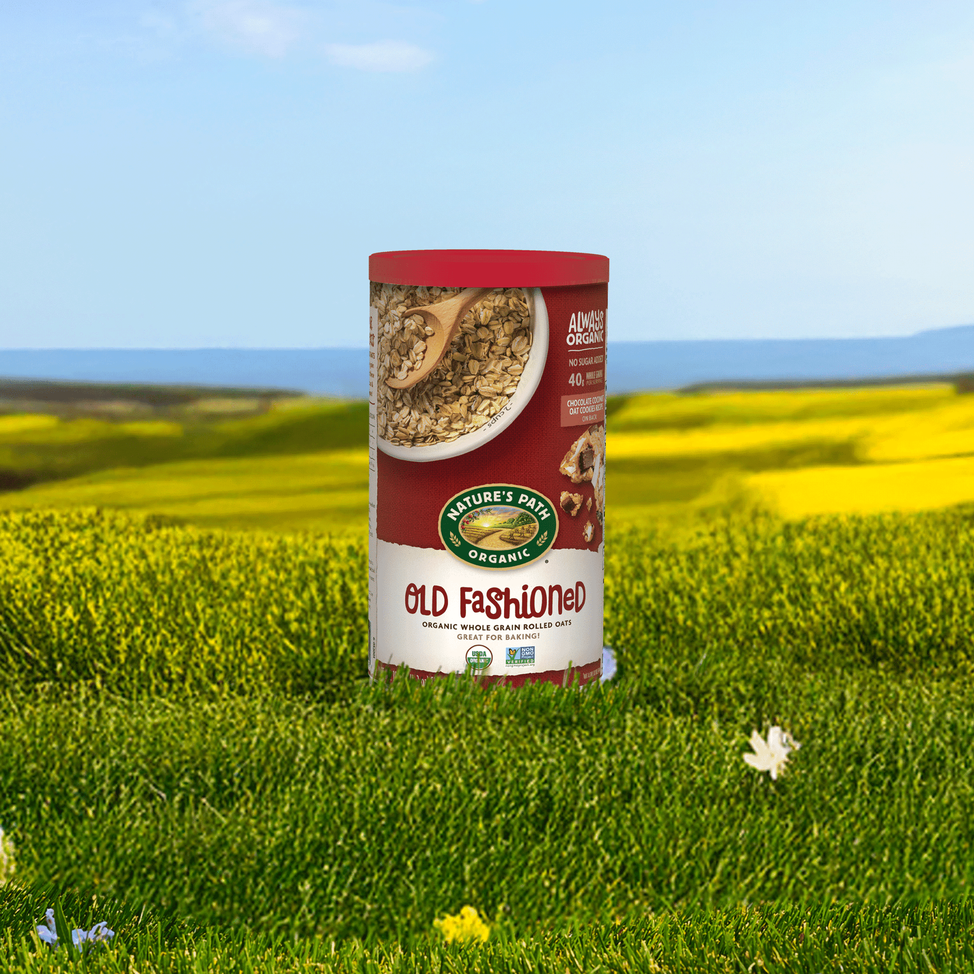 Old Fashioned Oats Oatmeal